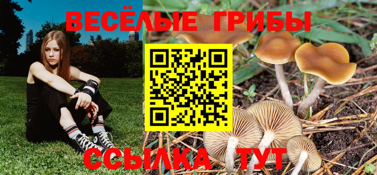 Кашира  Галлюциногенные грибы MAGIC MUSHROOMS  Псилоцибиновые грибы MAGIC MUSHROOMS  Вход с VPN 